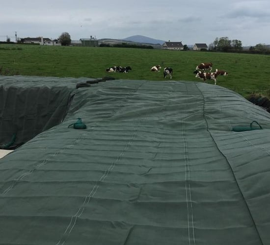 Reducing first-cut silage losses with Visqueen Clingseal