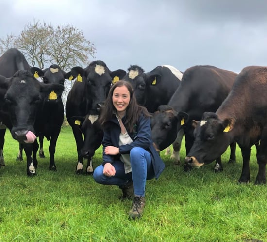 MSD announces new appointments in animal health