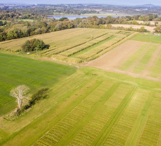 Explainer: How does soil carbon sequestration work?
