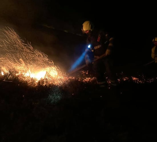 DAFM: 'Condition orange' forest fire warning in place