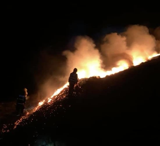 Emergency services attend gorse fire on Mount Leinster