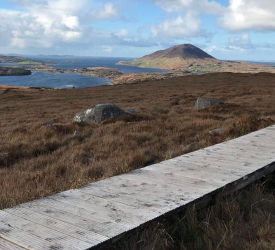 Rhododendron clearance plan announced for Connemara