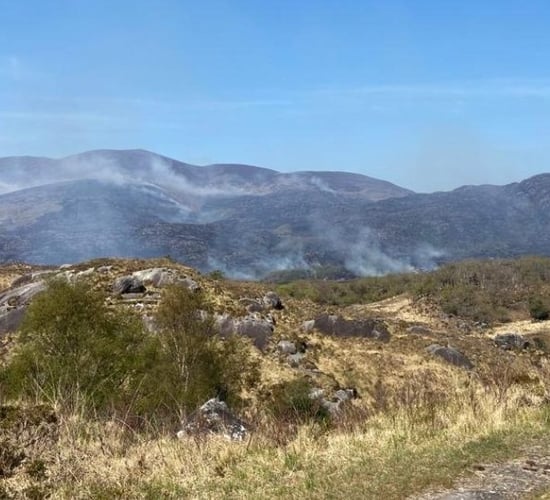 IWT calls for emergency measures 'to stop the cycle of infernos'