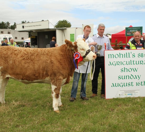Mohill Agricultural Show postponed until 2022