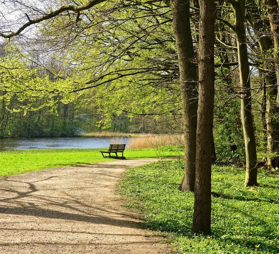 'The images of widespread littering highlight that there may be a need for regulations'