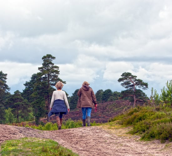 Countryside visitors urged to park responsibly