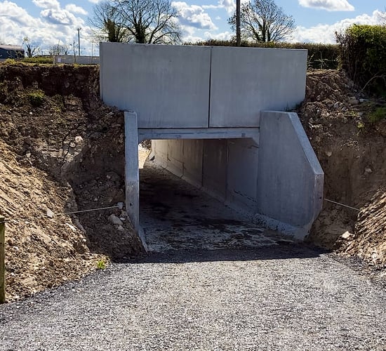 Infrastructure Focus: 'No more headaches' with the help of an underpass in Limerick