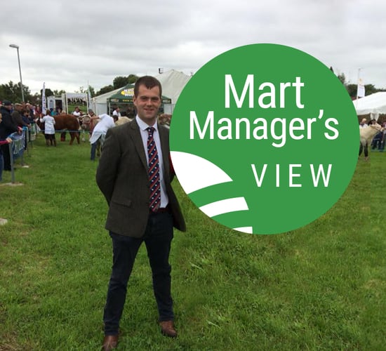 'The trade was getting hotter this week'- Mart manager's view