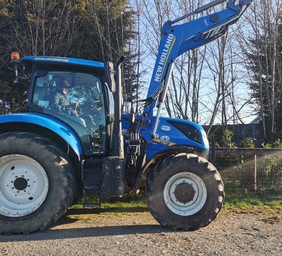Pics: Farm clearance sale to be held online next week