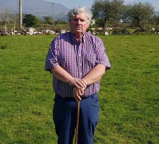 Dingle farmers to train to develop region's culinary attributes