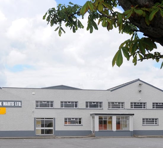 Roscommon Mart sees hoggets make up to €196