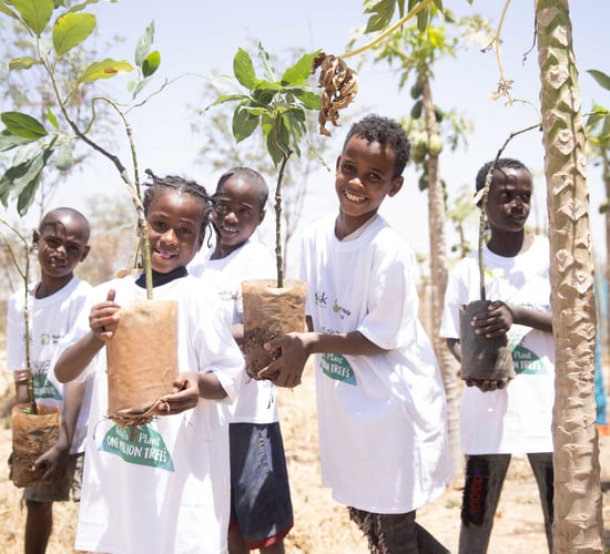 SMEs invited to mark Earth Day by planting trees