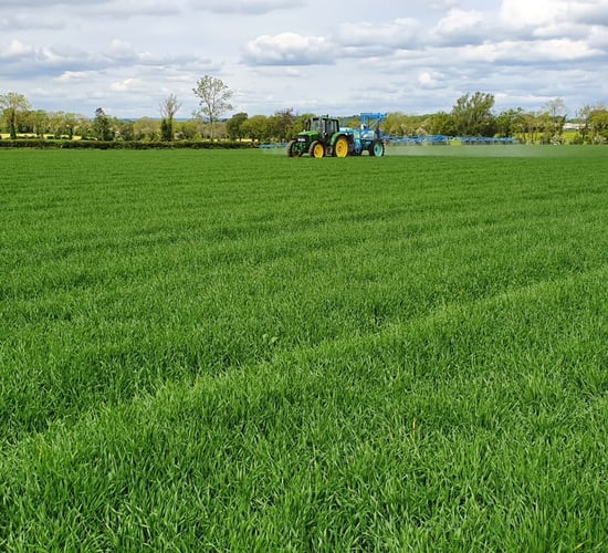 Changes to long-term crop study protocols at Rothamsted