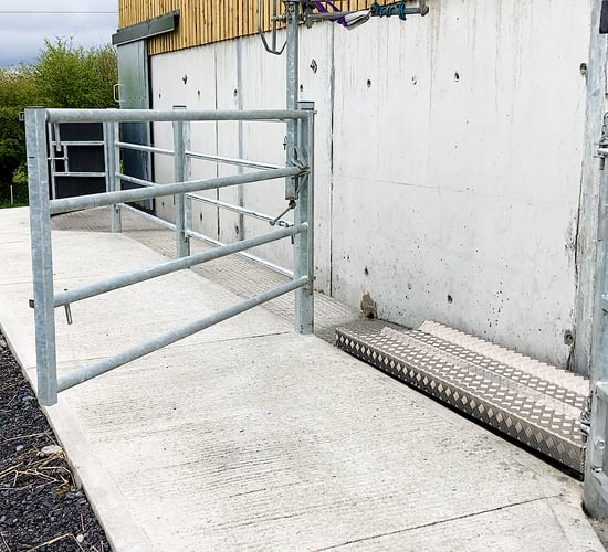 'Where's the cows daddy?' UFU tells of farmers' heartbreak over bovine TB
