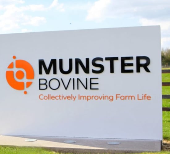 Munster Bovine appoints interim chief executive to permanent post