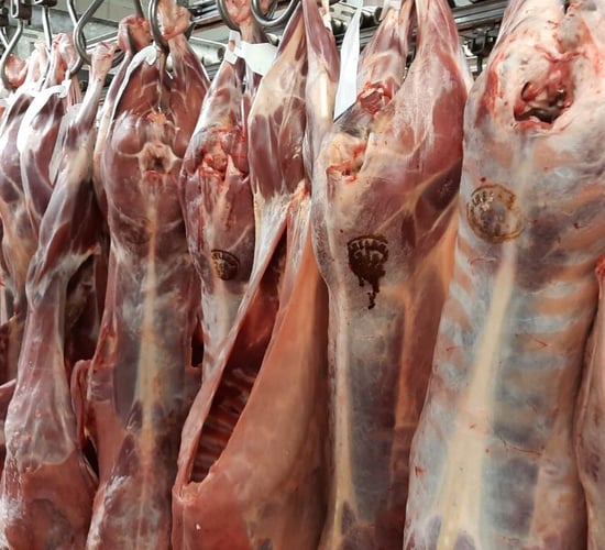British sheepmeat mislabelled as Irish - Carthy