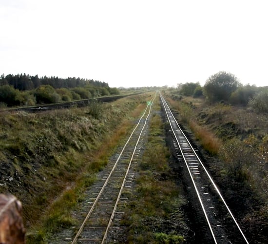 Pringle: Proposal on peat soils 'could have serious impact on CAP payments'