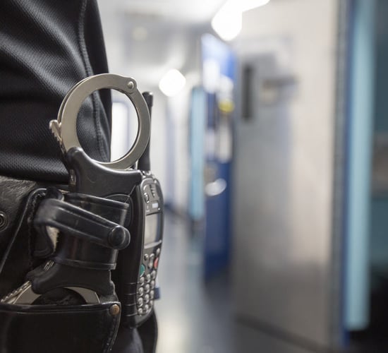 Man arrested after sheep 'believed to have been killed by crossbow'