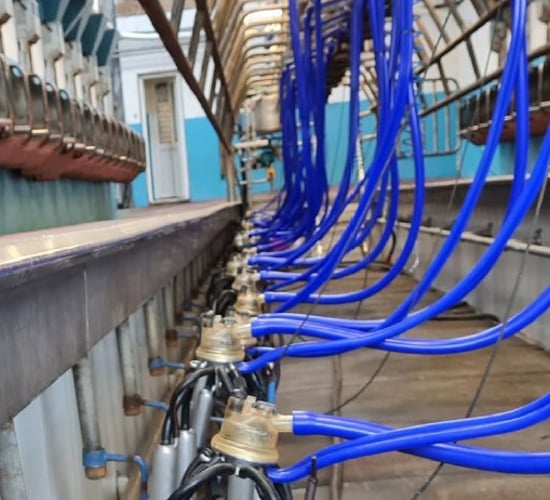 New higher cert milking machine programme unveiled