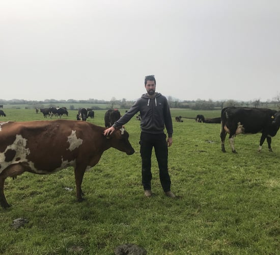 Dairy throwback: From 8 ewe and 5 bull calves to a 120-cow Wicklow dairy farm