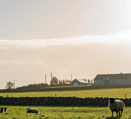 MEP calls for short-term lets on farms to be exempt from new regulation