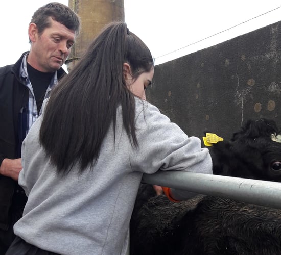 'Social farming can make lasting difference to young people'