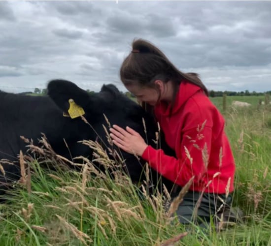 Angus competition encourages schoolgirls to take up part-time farm work
