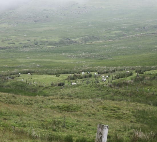 Predicted weather patterns indicate further water pollution from agriculture