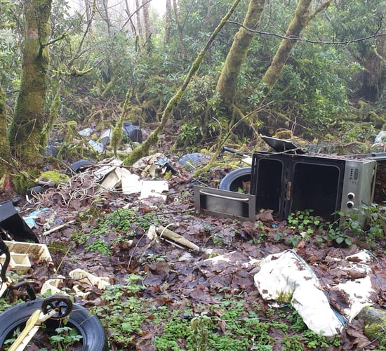 Illegal dumping 'increased by up to 25%' since start of Covid