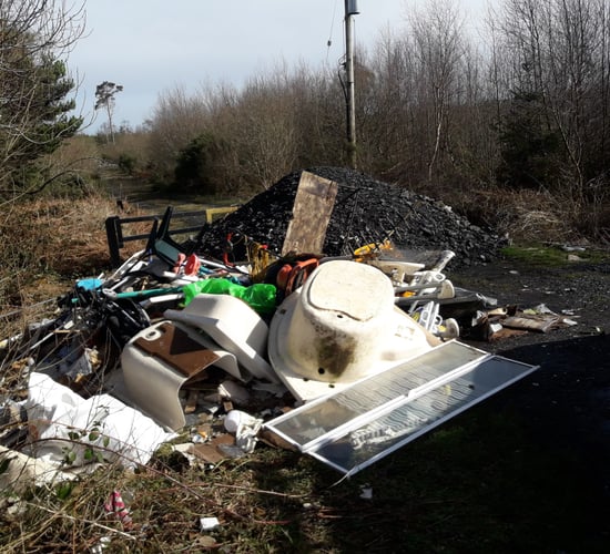 Illegal dumping costs Coillte €2 million over last five years
