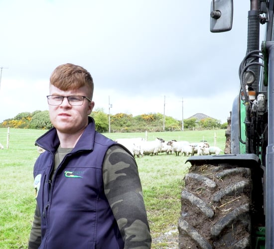 A Virtual Farm Walk  on the farm of Green Acres Calf to Beef participants Jarlath & Austin Ruane