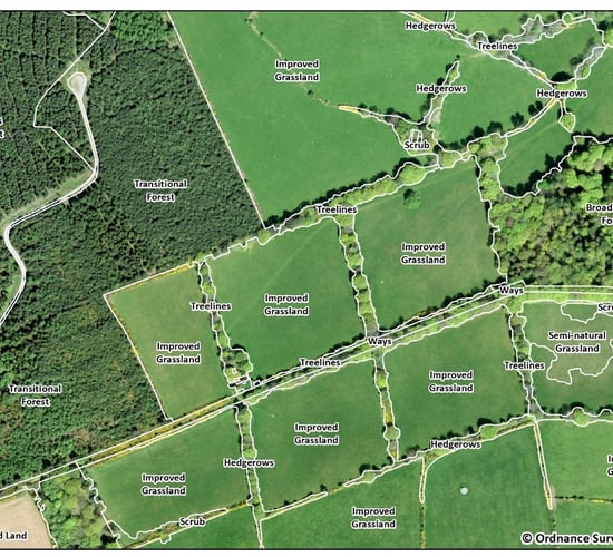 New land-cover map of habitats in development