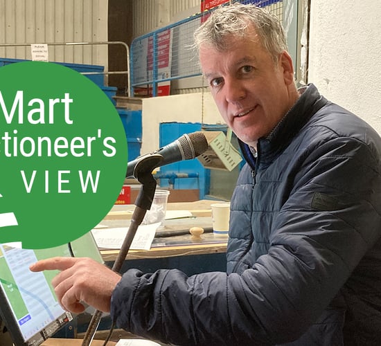 'Exceptionally good trade for heavy ewes' at Tuam Mart on Tuesday