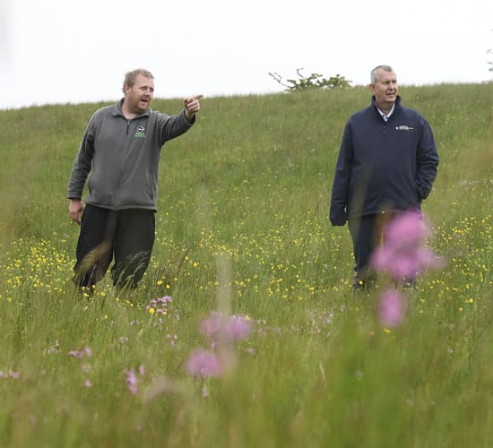 NI's second Climate Change Bill passes first stage at Stormont