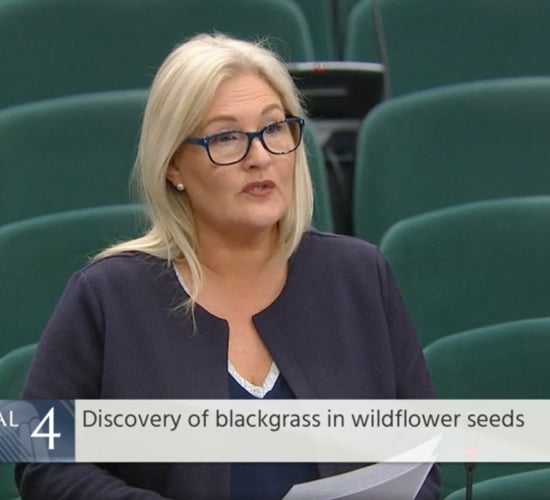 'Proactive approach' needed to prevent spread of blackgrass