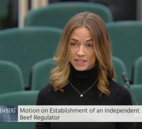 Food Ombudsman to operate 'within existing failing frameworks'