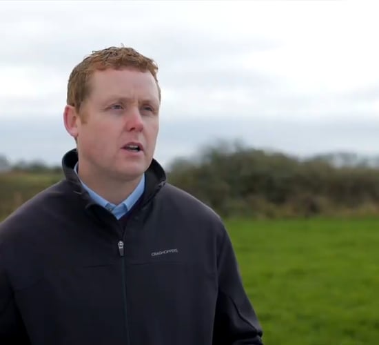 Wall appointed enterprise leader at Johnstown Castle
