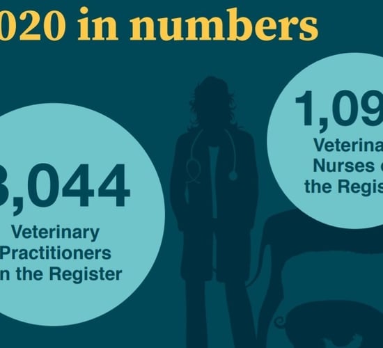 Veterinary Council of Ireland received 38 complaints in 2020