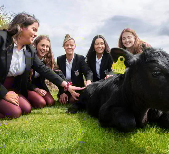 Non-farming students scoop top award at Certified Irish Angus competition
