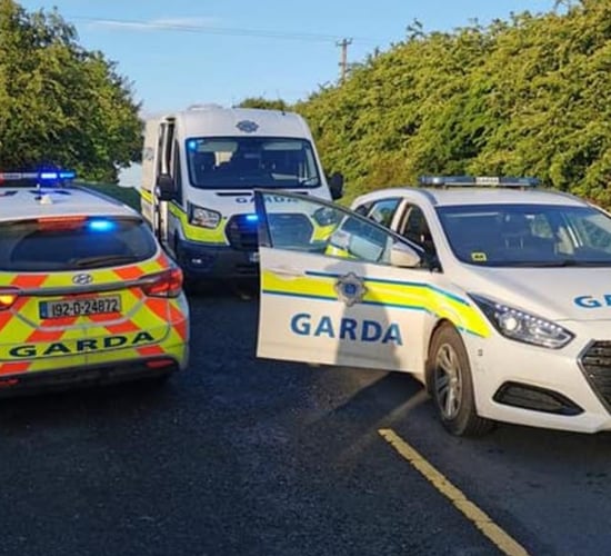 Gardaí detect smuggled kerosene and green diesel in rural crime sting