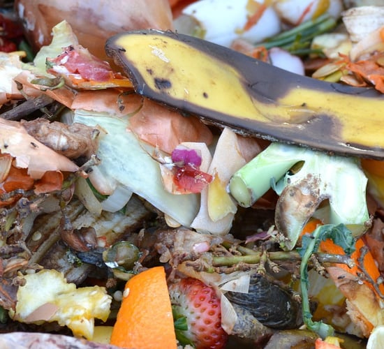 Four projects receive DAFM funding to tackle food waste