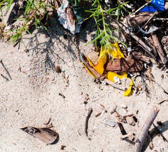 Agriculture, shipping and fishing - main sources of plastic pollution in seas