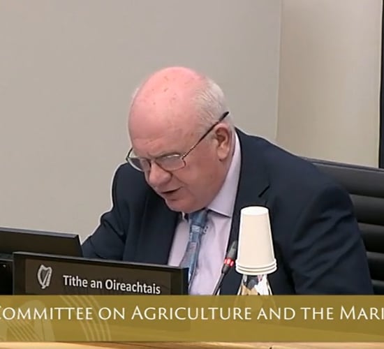 Teagasc courses and peatland rewetting go under Oireachtas spotlight