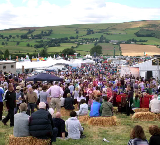 Tinahely Agricultural Show cancelled again due to Covid-19