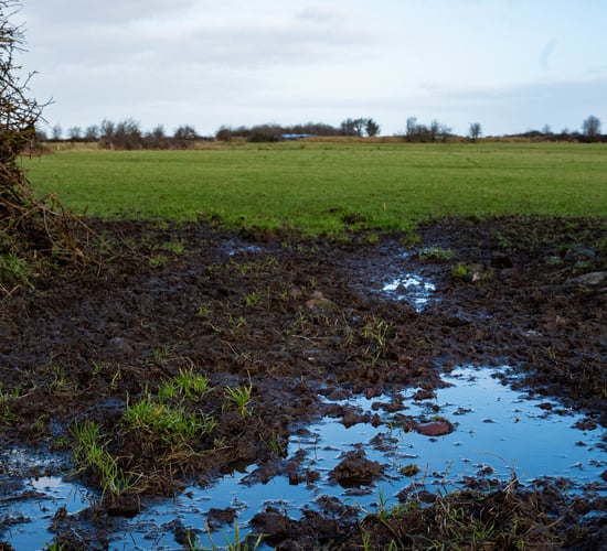 Met Éireann issues further rain warning as wet weather continues