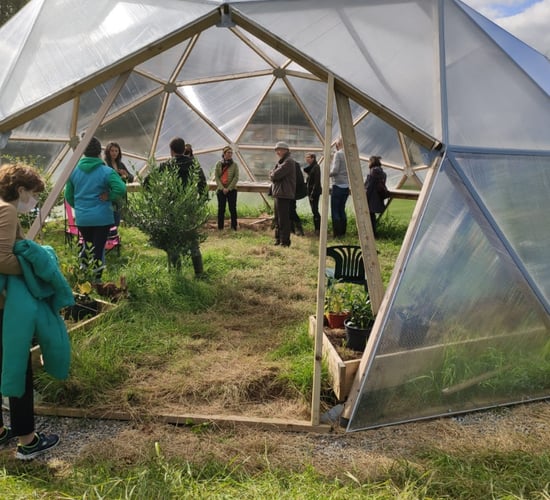 Westmeath farm hosts 'open air life' summer event series