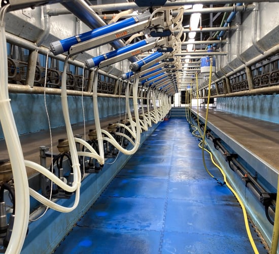 Reduce thermoduric counts with cow hygiene &amp; washing