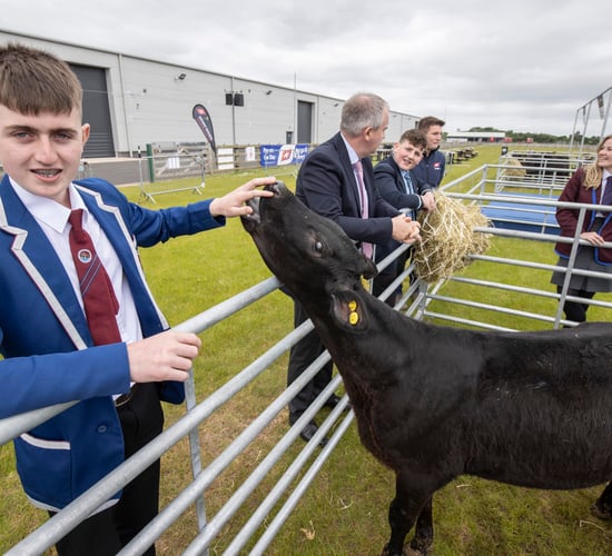 13 teenagers take calves home to rear in ABP’s agri-skills contest