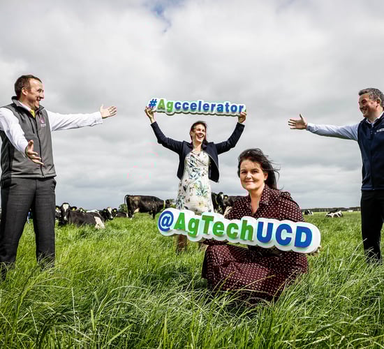 UCD launches new accelerator programme for agtech and foodtech start-ups