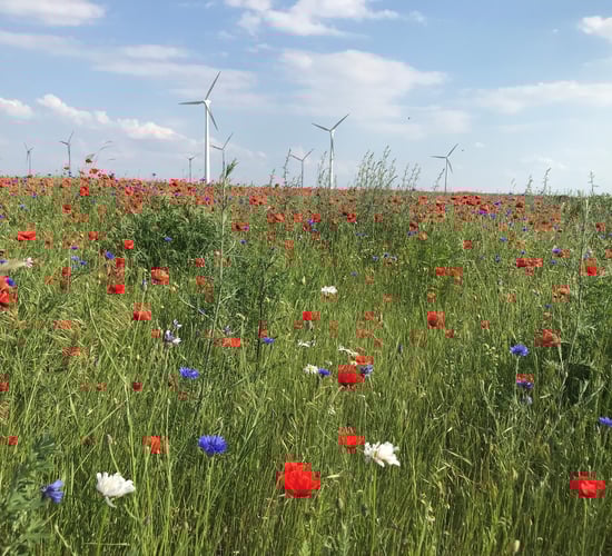 Bayer launches decarbonisation programme for agriculture in Europe